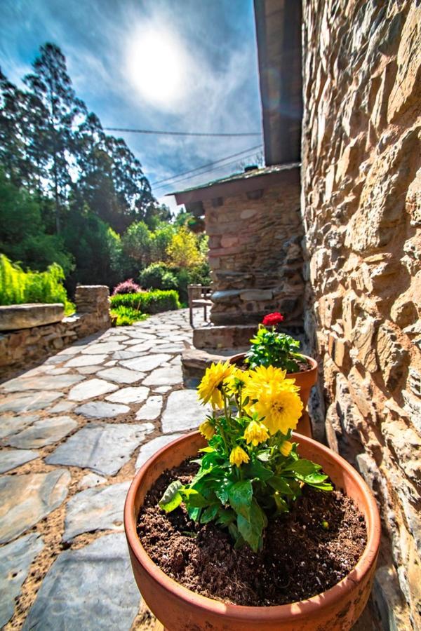 La Casa De La Naturaleza Frejulfe Zewnętrze zdjęcie